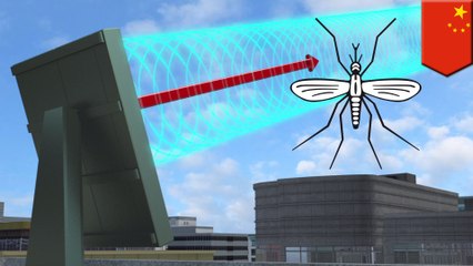 China developing mosquito radar with military tech