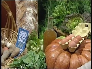 JOURNAL : Journal du jeudi 25 mars 2010