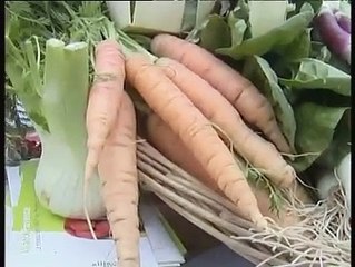 JOURNAL : Journal du mardi 6 avril 2010