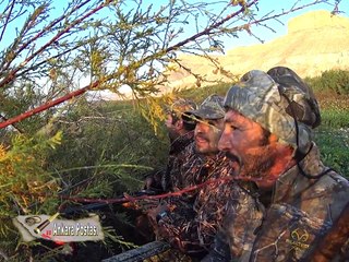 Ankara Postası 2017 ördek avı