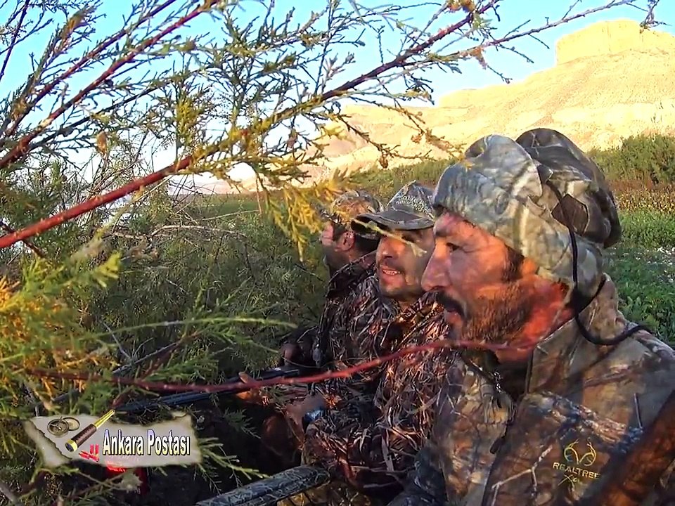 Ankara Postası 2017 ördek avı