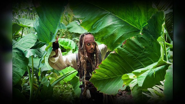 1 Jour 1 Film : Un jour, un film : Pirates des Caraibes 4