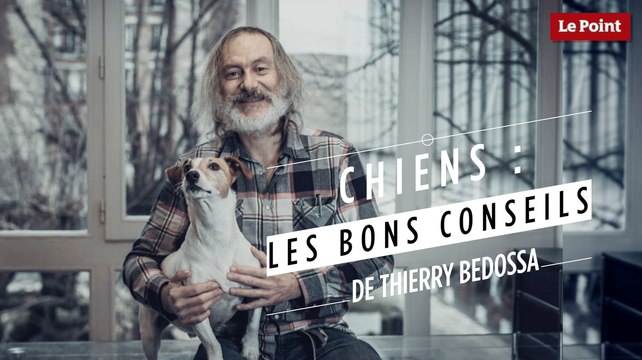 Thierry Bedossa : Choisir un chien de race ou un chien croisé ?