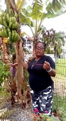 En cas de stress, les hommes comme les femmes peuvent avoir une calvitie