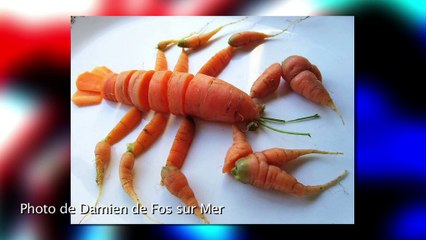 LE GRAND FORUM : Le grand Forum 11 01 2012