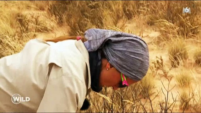 Wild : Après avoir diffusé la diarrhée de Samantha, M6 montre la candidate en train d'uriner