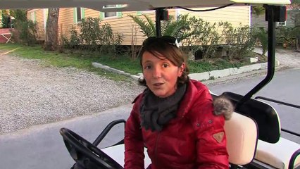 LE GRAND FORUM : Le grand Forum 18 01 2012