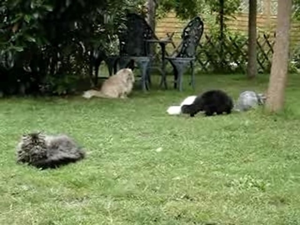 MOV07868papy sitting