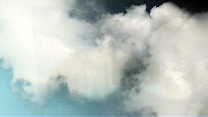 Flat Roof Edge Protection