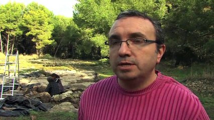 VUE D'ICI : Vue d'ici : Témoignage néolithique