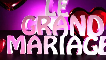 LE GRAND MARIAGE : Elodie et Fabrice Karaoké