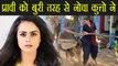 TV Actress Prachi Tehlan को शूटिंग के दौरान कुते ने बुरी तरह से नोचा | वनइंडिया हिंदी