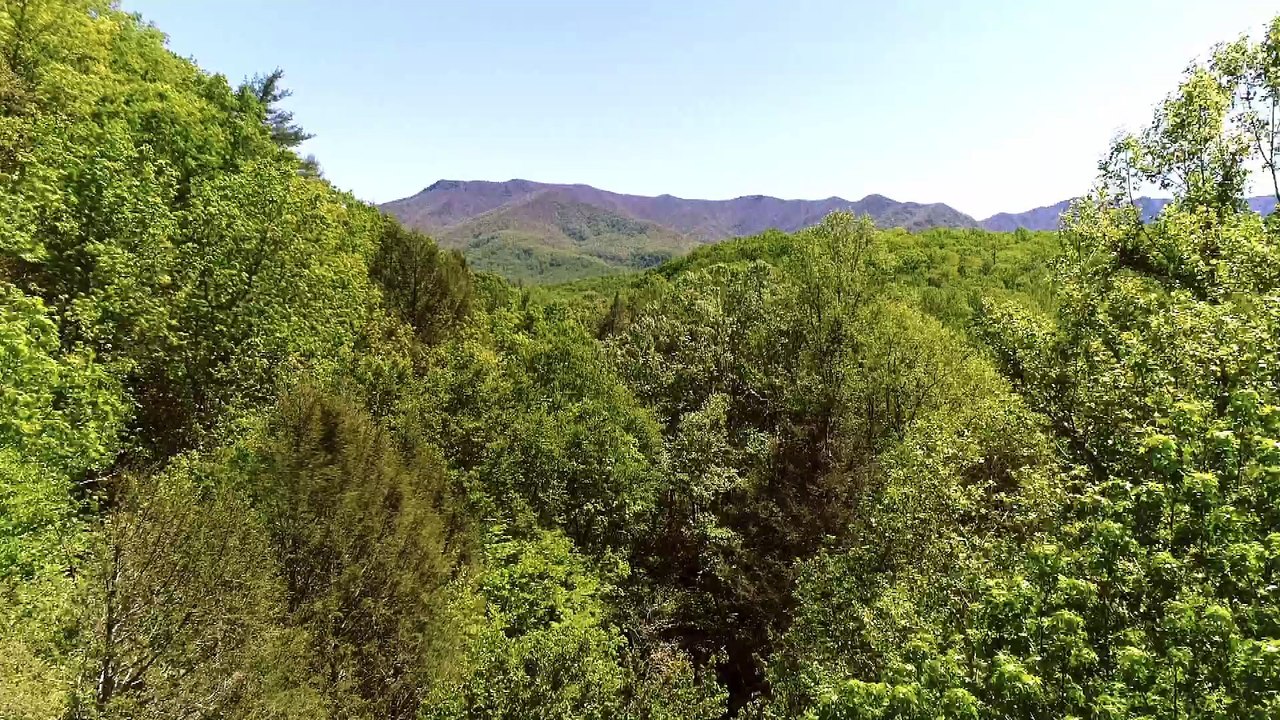 Discovery - Moonshiners S7