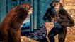 CRISIS ON THE PLANET OF THE APES Bande Annonce de Gameplay