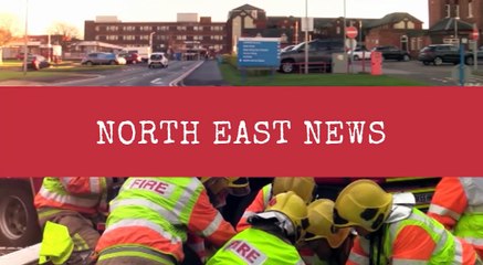 Animal therapy helping children with autism