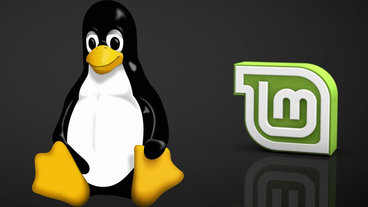 [TUT] Linux Mint installieren [4K | DE]