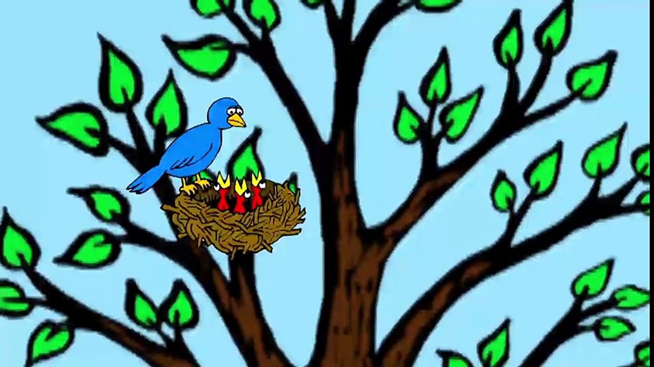 Global Warming Effect The Environment - Chemistry for All