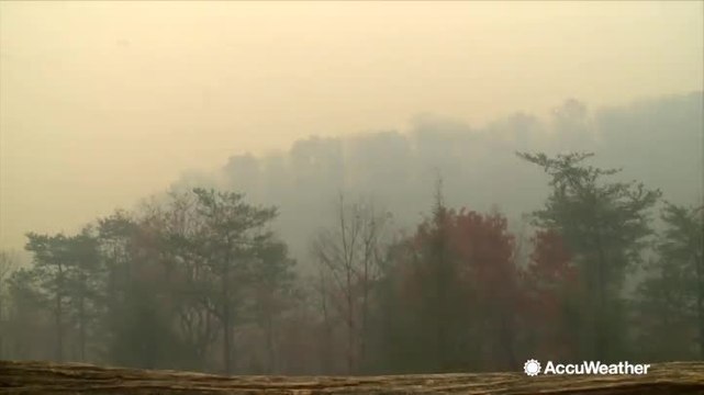 AccuWeather Video Package 60F