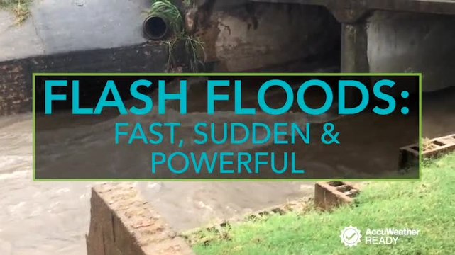 AccuWeather Video Package 60B