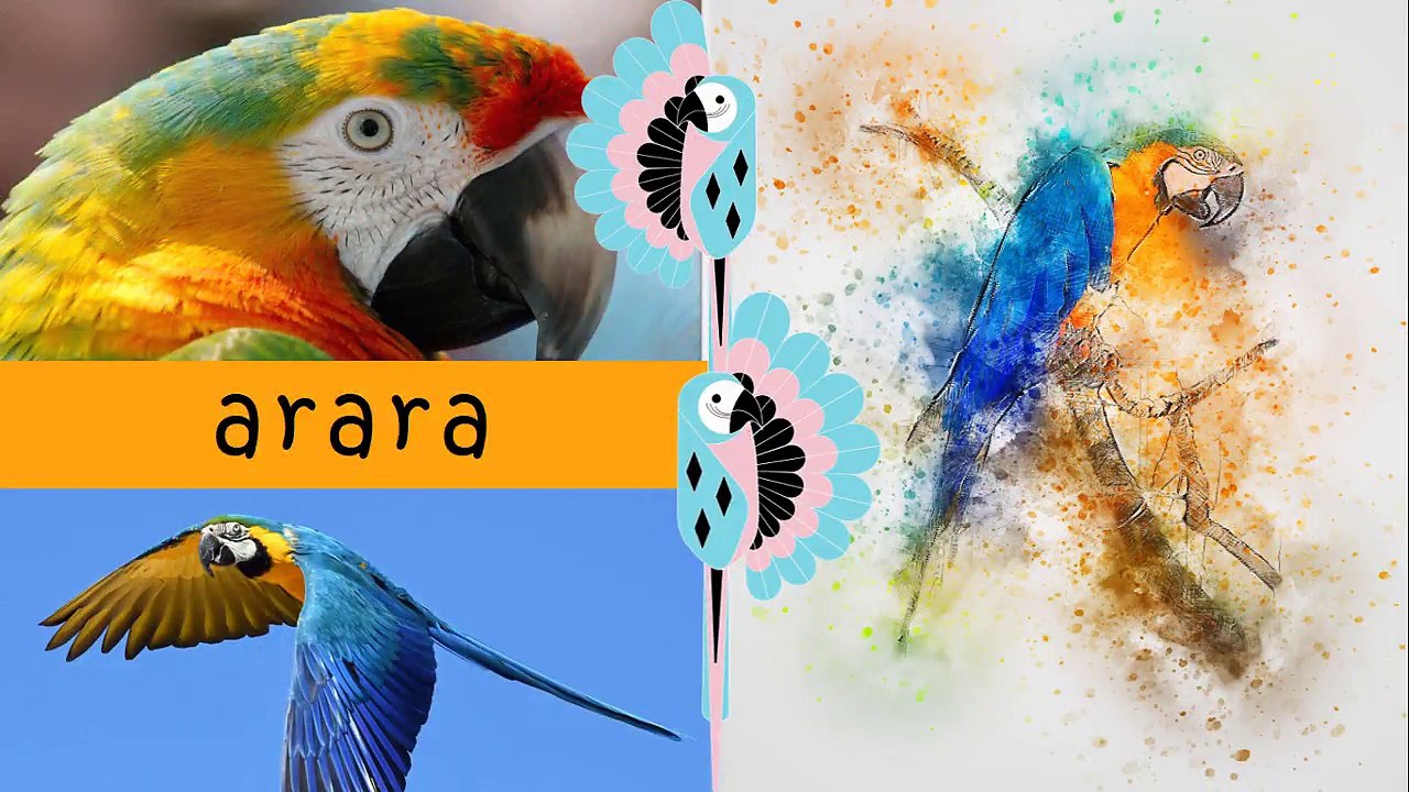 Vamos aprender as vogais com os animais? Vem comigo! (Vídeo educativo e lúdico para crianças)