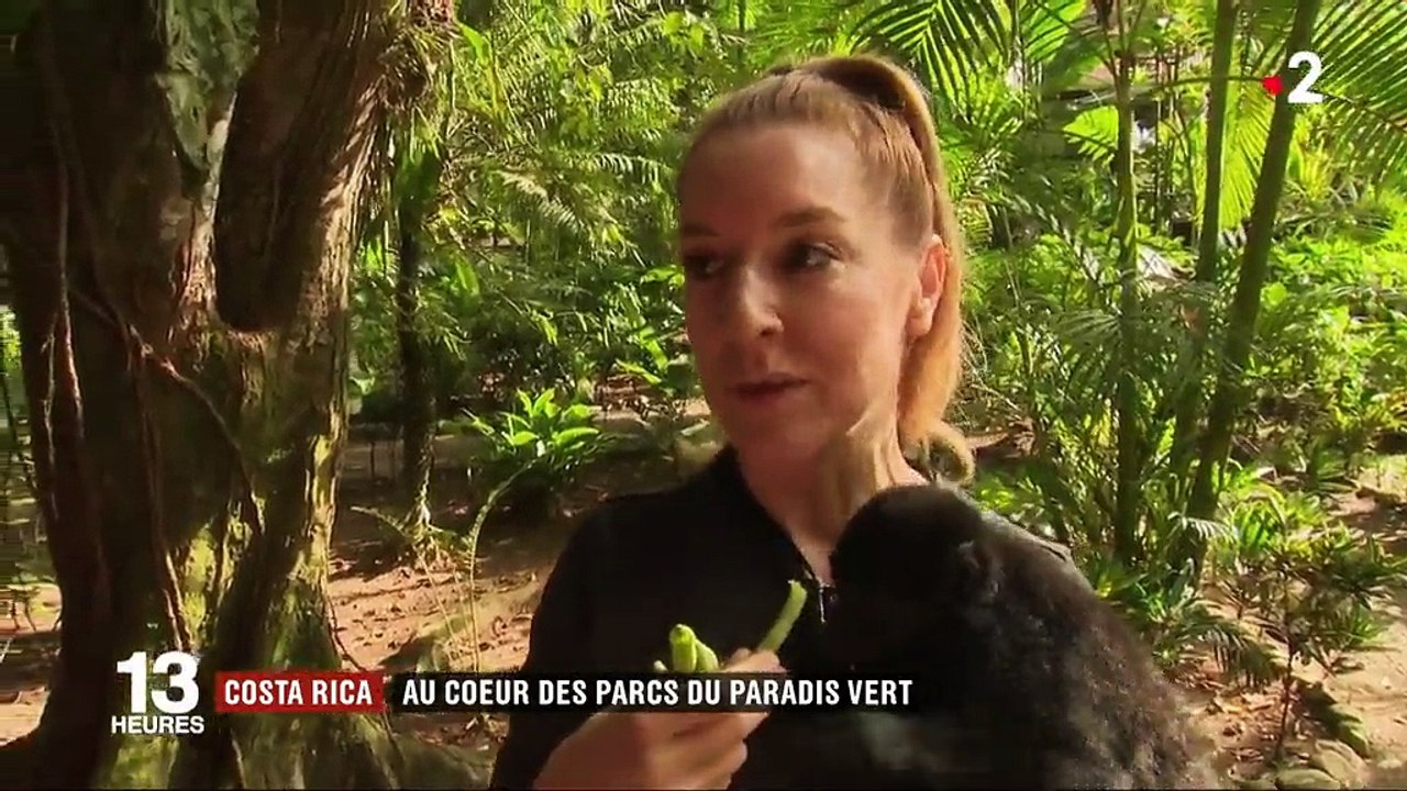 Feuilleton : Costa Rica, le paradis vert (2/5)