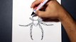 how to draw spider 3 - como dibujar una araña - drawing