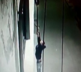 Quito: Cámaras de seguridad captan como banda de roba casas trepan con facilidad las paredes para delinquir