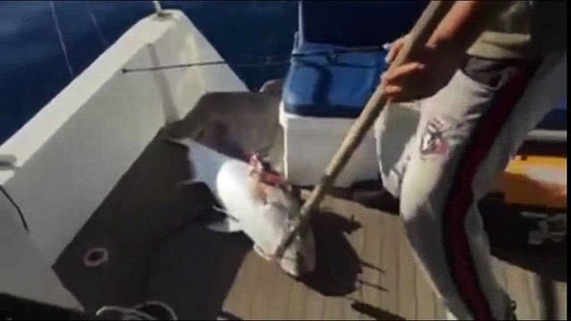 Harika balık avı - Volkan Uygur - ALANYA | Kalkan kardeşler jigging videoları