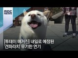 [투데이 매거진] 내일로 예정된 '견파라치' 무기한 연기 / MBC