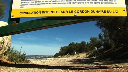 VUE D'ICI : Vue d'ici : Semailles au Jaï