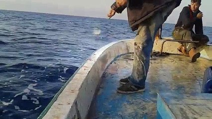 RÜZĞARLI BURUN - PALAMUT AVI - ÇAPARİ ÇALIŞIYOR... | Kalkan kardeşler jigging videoları