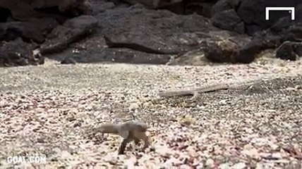 The best motivational vedio about life