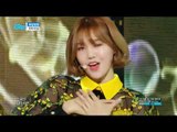 【TVPP】 OH MY GIRL - 'Secret Garden',오마이걸 - 비밀정원 @Show Music Core 20180127