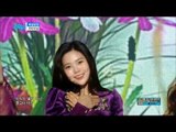 【TVPP】 OH MY GIRL - 'Secret Garden',오마이걸 - 비밀정원 @Show Music Core 2018