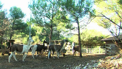 LE GRAND FORUM : Le Grand Forum 20 01 14