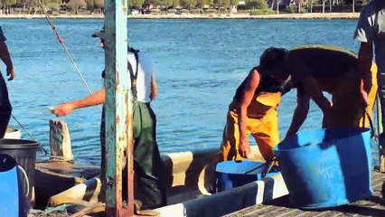 VUE D'ICI : Vue d'ici : Montre moi ton étang n°1