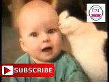 funny cats compilation 2018 new || funny cats and dogs try not to laugh or grin || CM WORLD