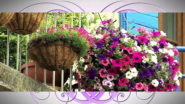 A FLEUR DE VILLE : A Fleur de Ville à Meyrargues