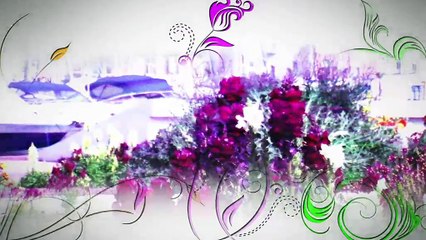 A FLEUR DE VILLE : A Fleur de Ville à Barbentane