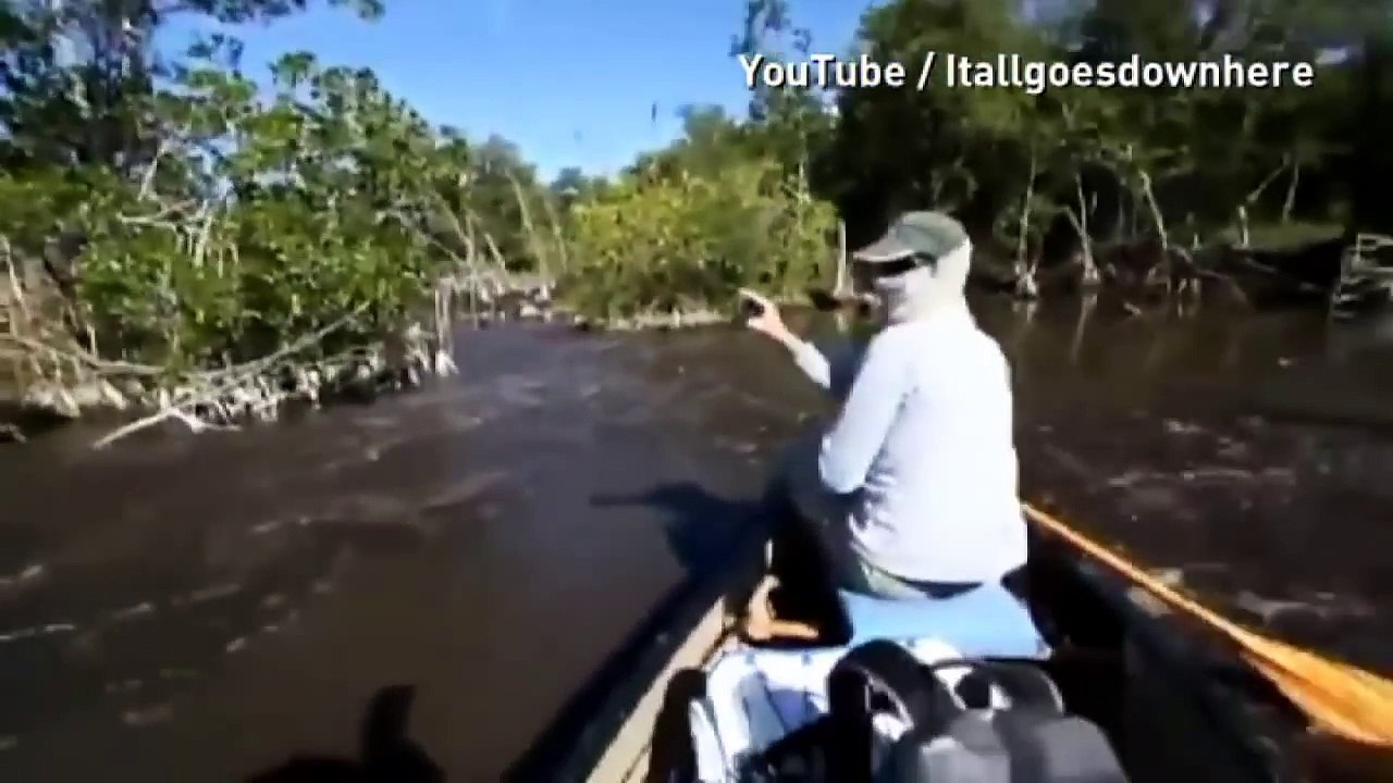 Il va avoir la peur de sa vie en voyant qu'il est entouré de crocodiles énormes