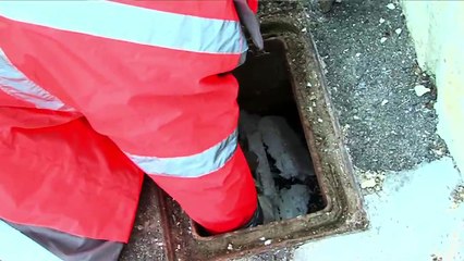 LA REVUE : La revue : spéciale débat sur l'eau Jean-Claude Cheinet / André Donzel