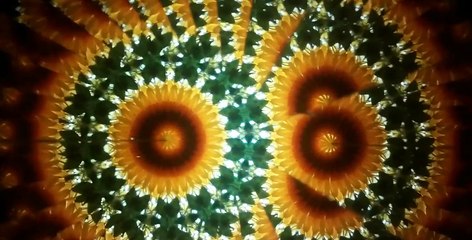 Oddly Satisfying Video You-ll Enjoy Watching 2018