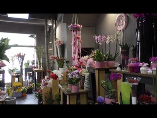 D!Ci TV : les commerçants de Laragne inquiets en cas de déviation de leur village