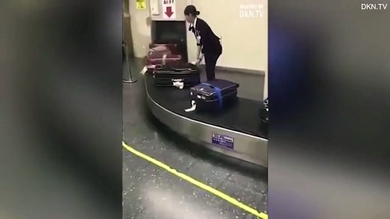 Japanese airport staff seen cleaning your luggage upon arrival