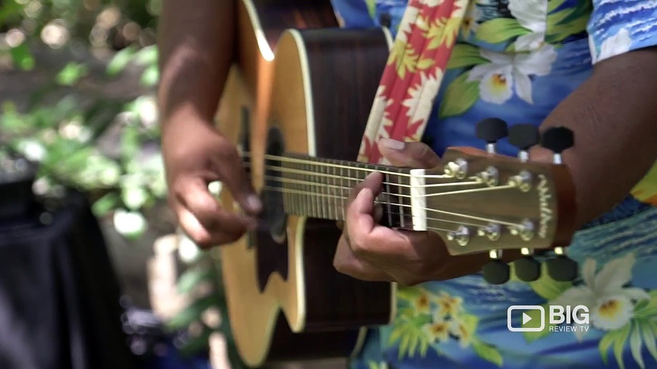 Arkarra Tea Gardens The Fraser Coast's Premier Outdoor Oasis