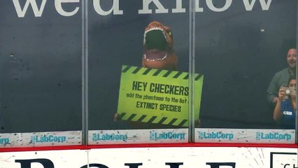 AHL Lehigh Valley Phantoms 1 at Charlotte Checkers 3