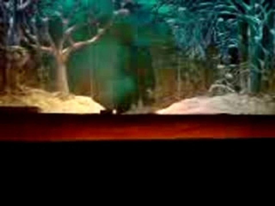 tchaikovsky casse noisette opera de voronej