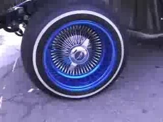 Spider Loc - Blutiful World