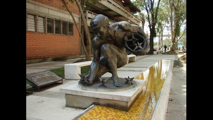 Entrevista al Ingeniero informatico