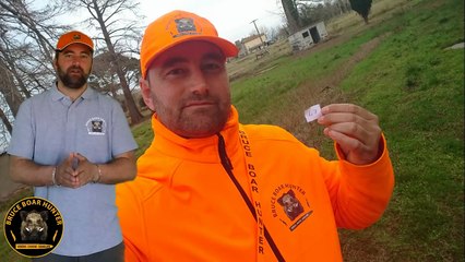 GROSSE BATTUE AU SANGLIER EN CAMARGUE / Caza/Caccia/Hunting wild boar